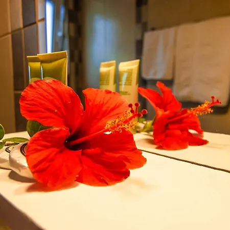 Lägenhet Irene Karpathos