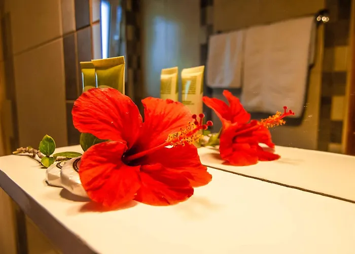 公寓 Irene 卡尔帕索斯